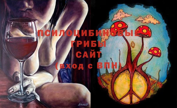 стафф Кинешма