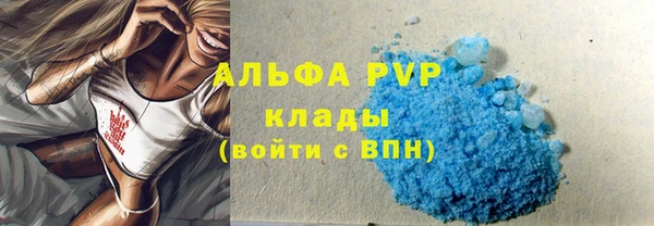 стафф Кинешма