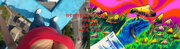 MESCALINE Киреевск