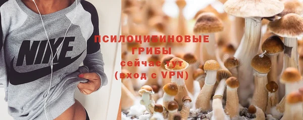 спайс Карпинск